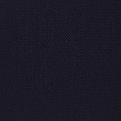 Navy Blue textured Pant