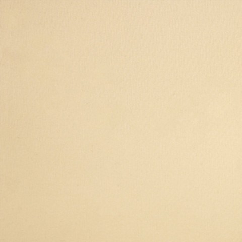 Cream CT777-3 - 100% Pure Cotton Stretch Pants