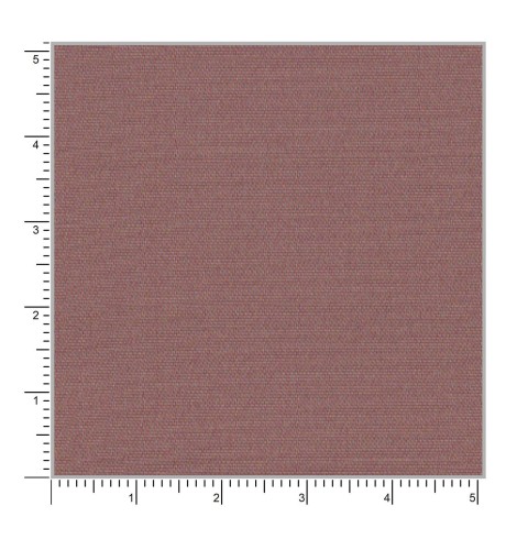 Pink CT777-53 - 100% Pure Cotton Stretch Pants