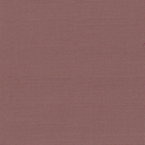 Pink CT777-53 - 100% Pure Cotton Stretch Pants