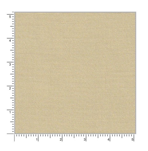 Cream CT777-66 - 100% Pure Cotton Stretch Pants