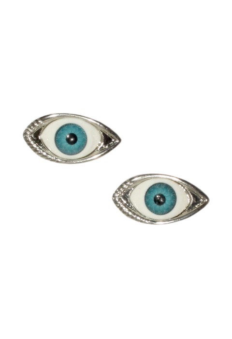 The Little silver eyes