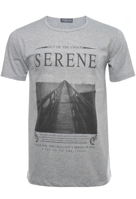 เสื้อยืดสีเทาพิมพ์ลายภาพถ่าย