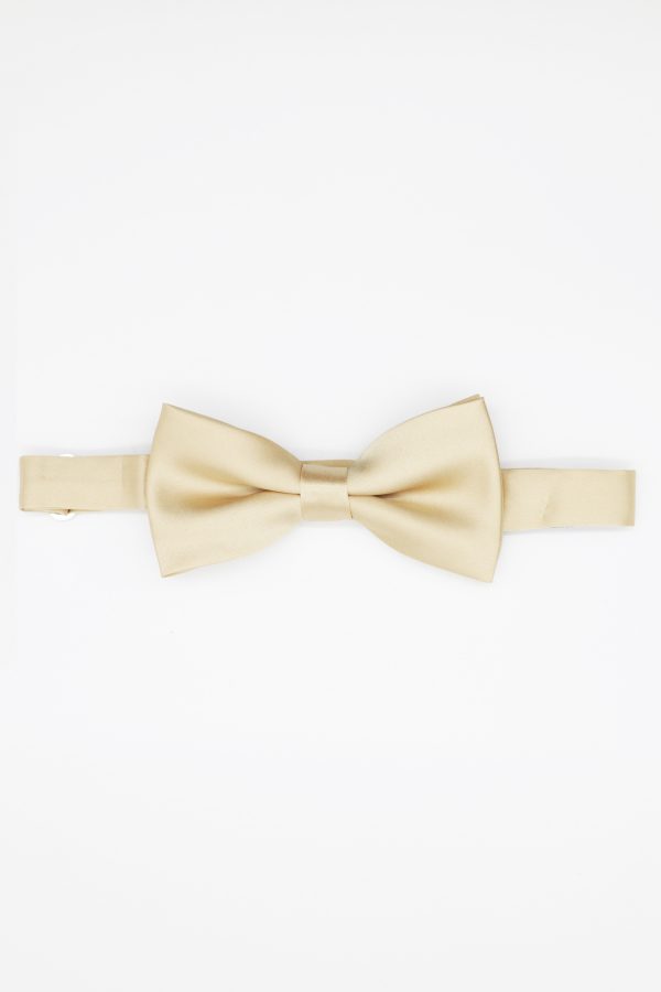 gold satin bowtie dgrie