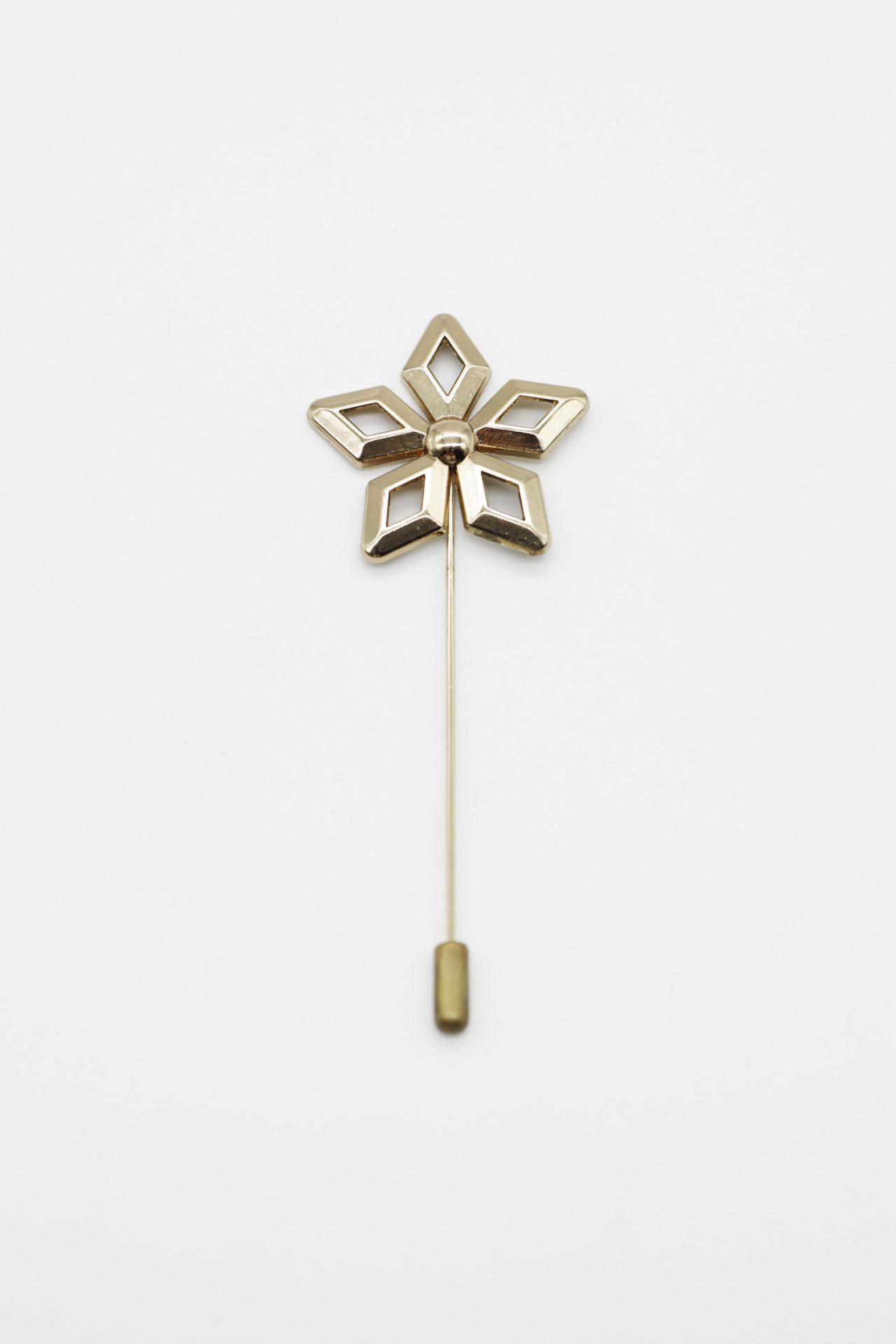 gold star lapel pin dgrie