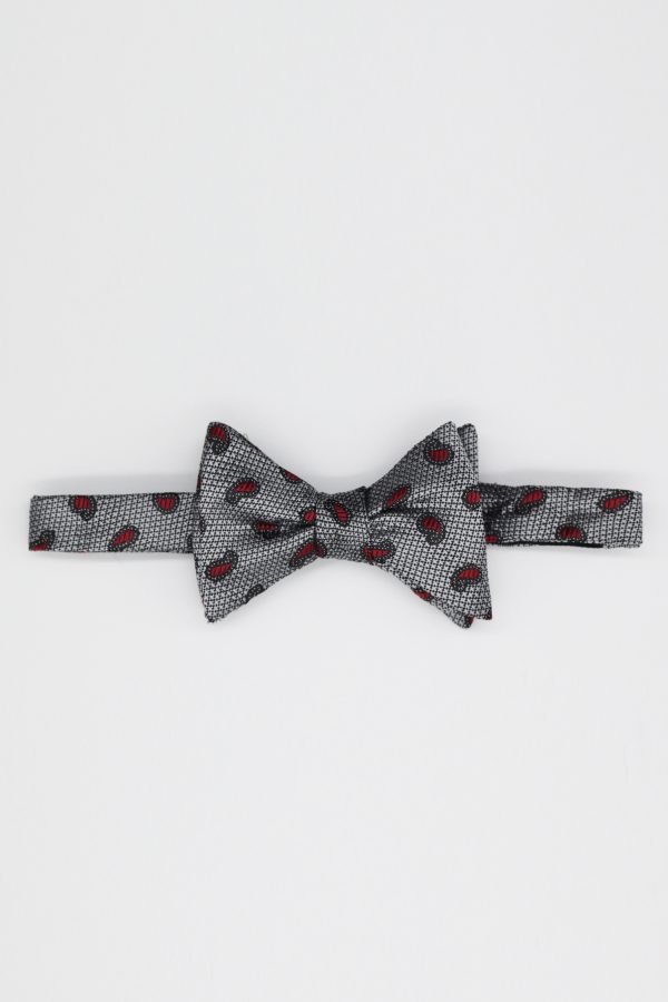 gray paisley red bowtie dgrie