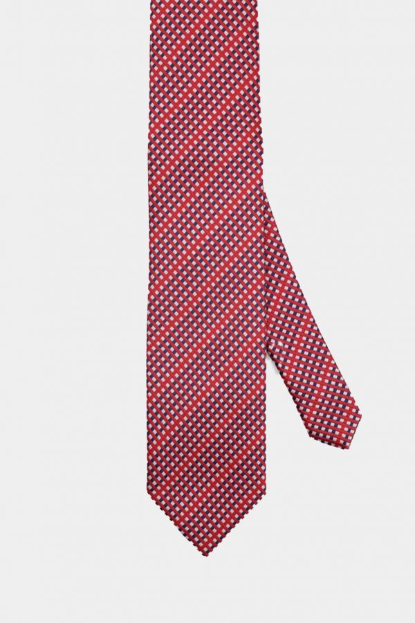 red and blue check necktie dgrie 1