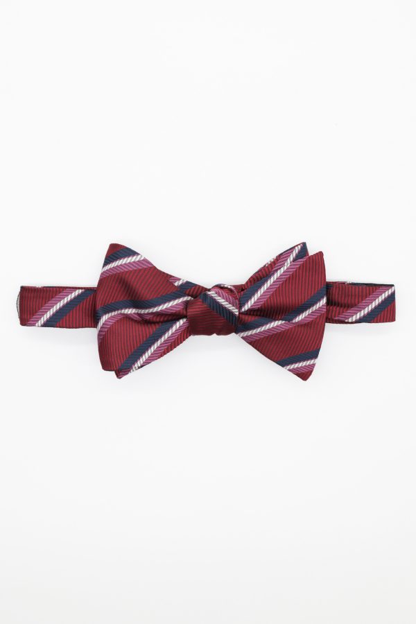 red pin stripe navy and pink bowtie dgrie