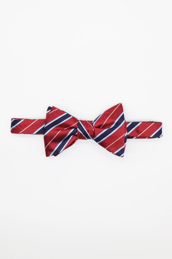 red pin stripe navy and white bowtie dgrie