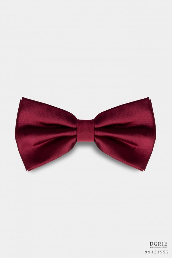 burgundy silk bowtie dgrie