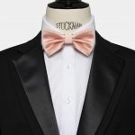 salmon silk bowtie dgrie 1