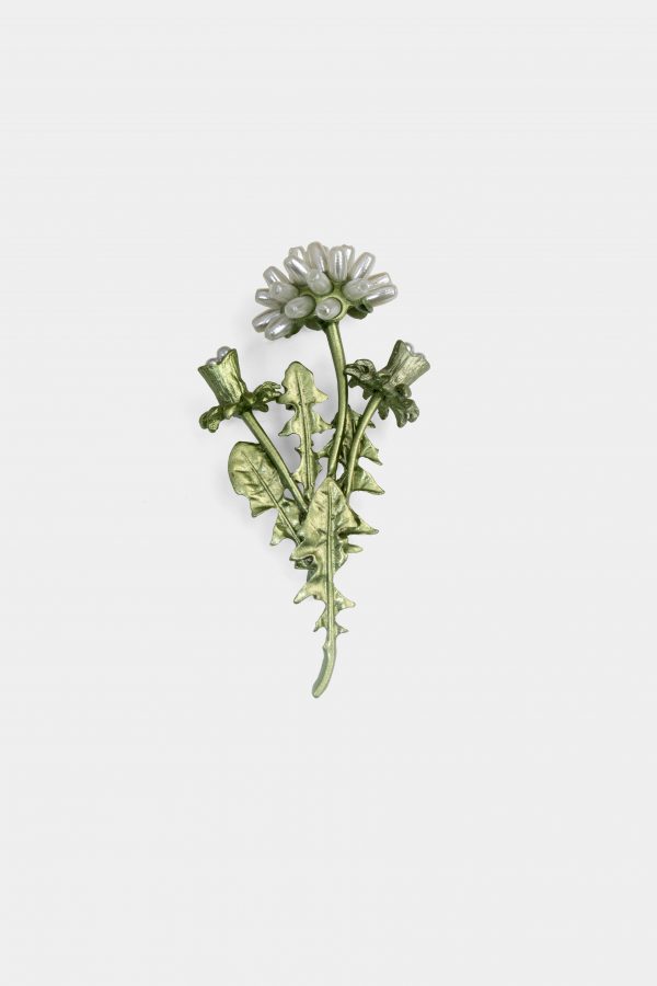 taraxacum albidum flower brooch dgrie 1