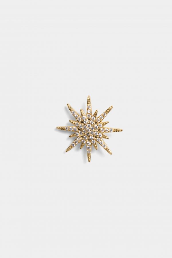 classic golden sparkle brooch dgrie