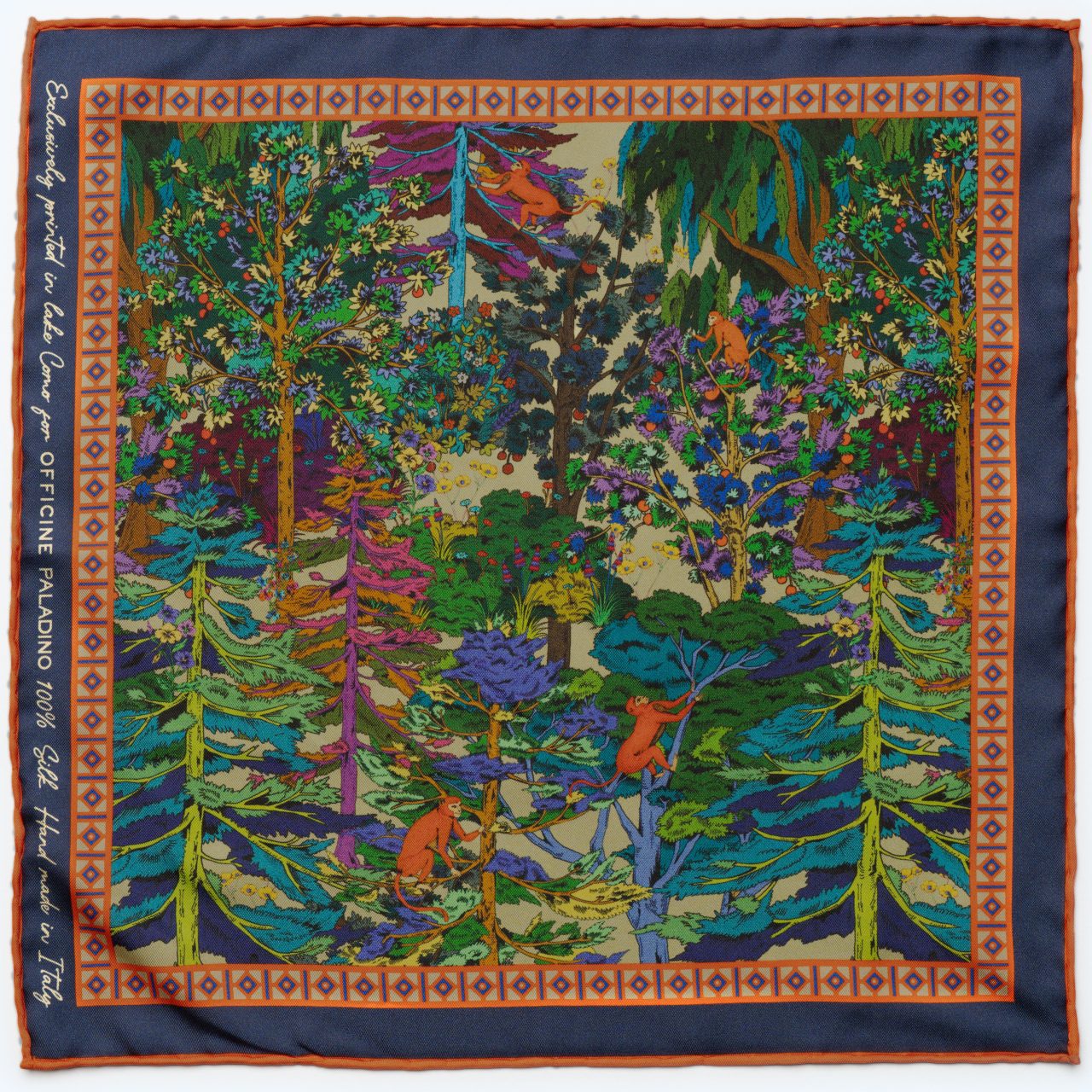 paladino OP922 34698961518691